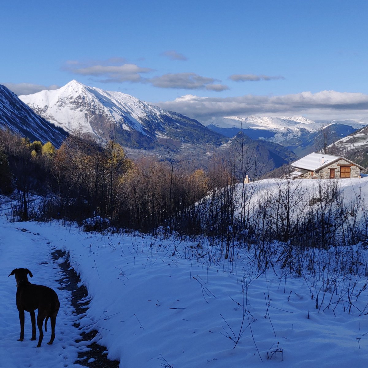 Winter 2019 | Early Season Discount