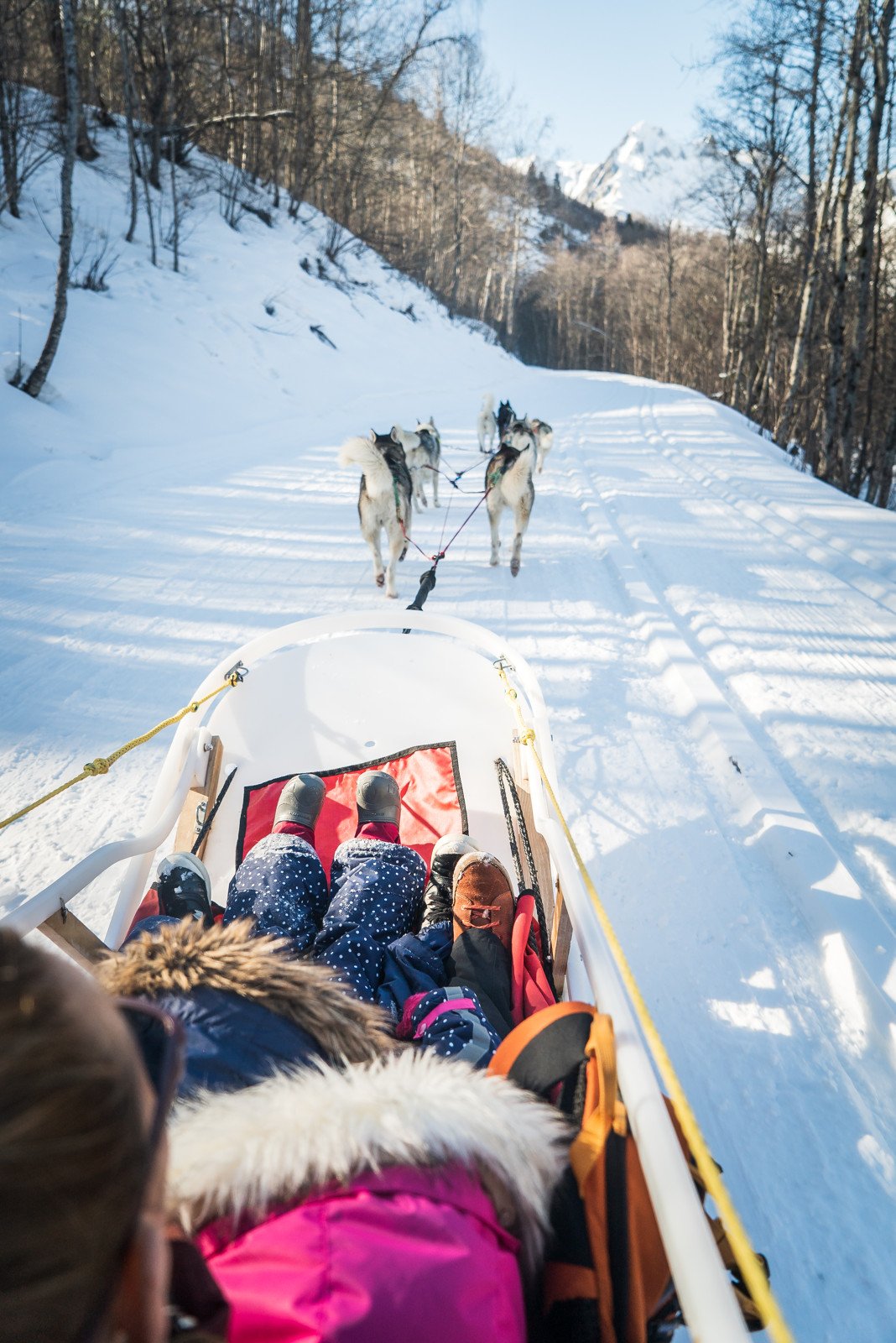 Hundeschlittenfahrt mit freundlichen Huskys in St. Martin de Belleville - Ein magischer Tag im Schnee.