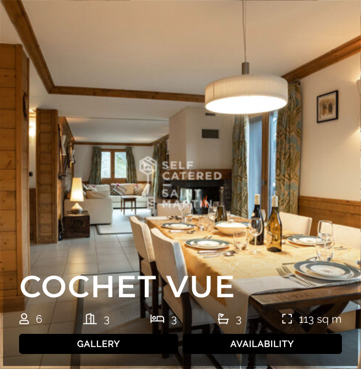 Cochet vue cover image and meta data